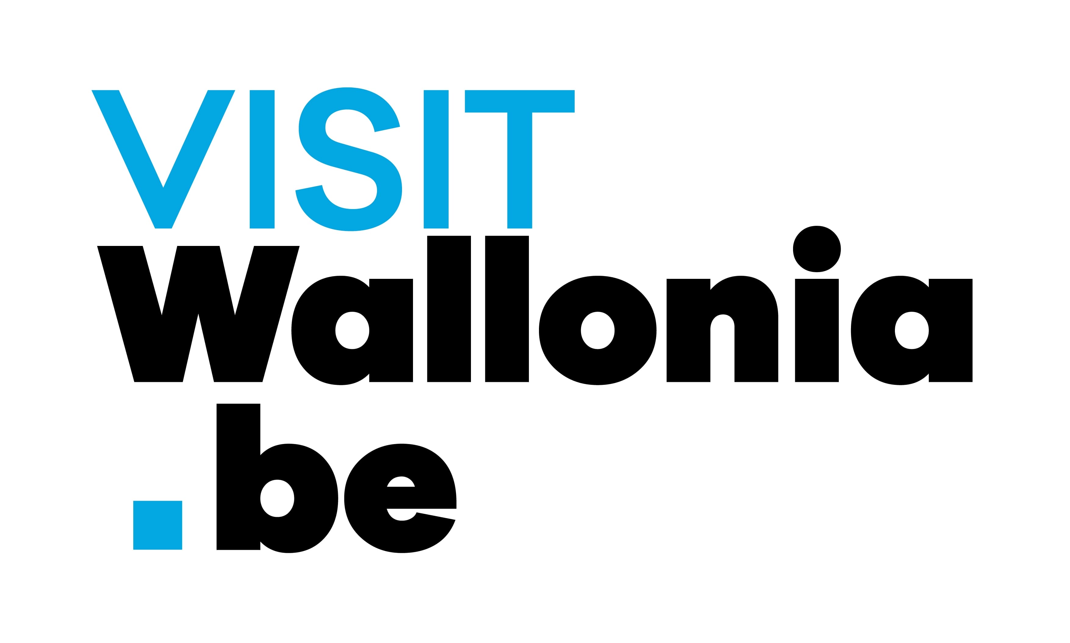 Logo WBT